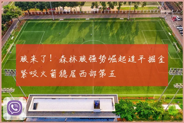 狼来了！森林狼强势崛起追平掘金紧咬火箭稳居西部第五