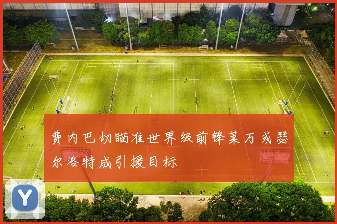费内巴切瞄准世界级前锋莱万或瑟尔洛特成引援目标