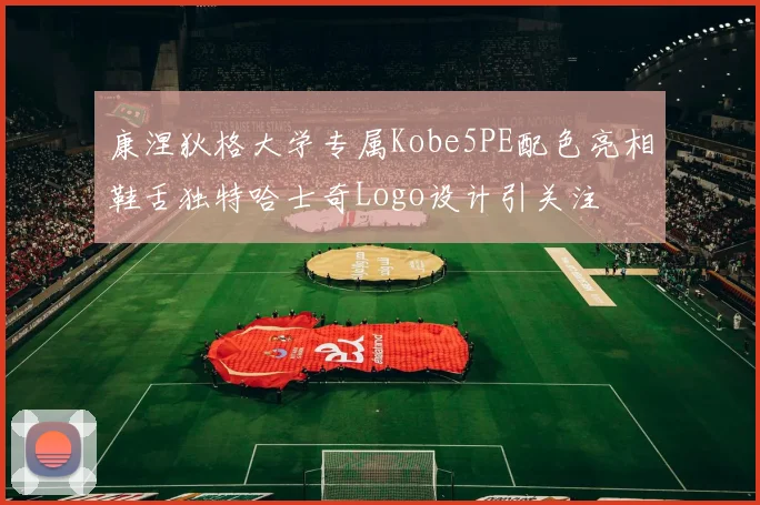 康涅狄格大学专属Kobe5PE配色亮相鞋舌独特哈士奇Logo设计引关注